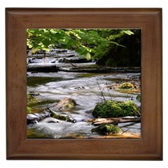 Bach Water Landscape Nature Forest Summer Sun Framed Tile by danenraven