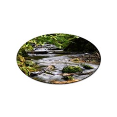 Bach Water Landscape Nature Forest Summer Sun Sticker Oval (10 Pack) by danenraven