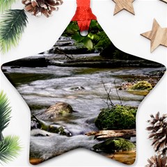 Bach Water Landscape Nature Forest Summer Sun Star Ornament (two Sides) by danenraven