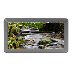 Bach Water Landscape Nature Forest Summer Sun Memory Card Reader (mini) by danenraven