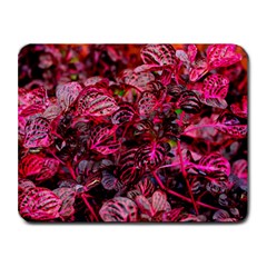 Red Leaves Plant Nature Leaves Flora Foliage Small Mousepad