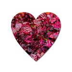 Red Leaves Plant Nature Leaves Flora Foliage Heart Magnet Front