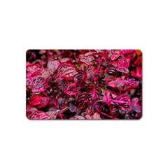 Red Leaves Plant Nature Leaves Flora Foliage Magnet (name Card)