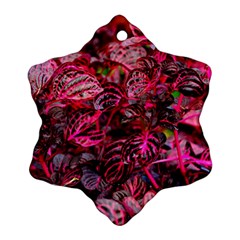 Red Leaves Plant Nature Leaves Flora Foliage Ornament (Snowflake)