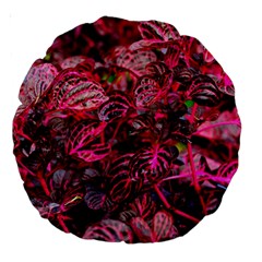 Red Leaves Plant Nature Leaves Flora Foliage Large 18  Premium Round Cushions