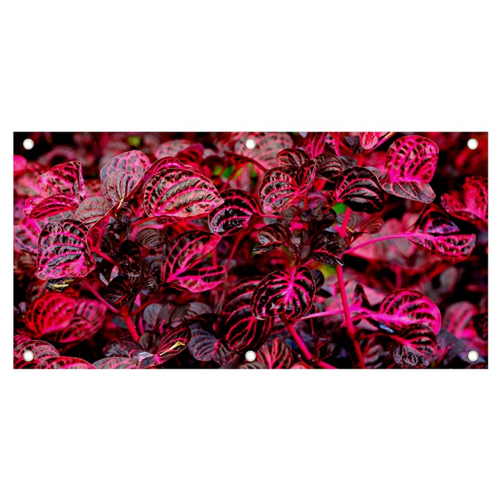 Red Leaves Plant Nature Leaves Flora Foliage Banner and Sign 4  x 2 