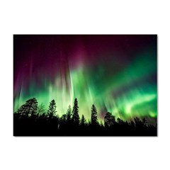 Aurora Borealis Northern Lights Forest Trees Woods Sticker A4 (100 Pack) by danenraven