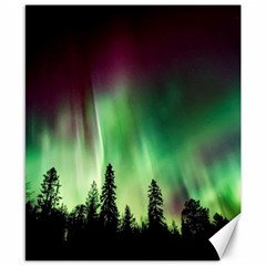 Aurora Borealis Northern Lights Forest Trees Woods Canvas 8  X 10  by danenraven