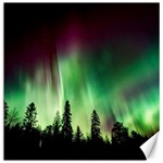 Aurora Borealis Northern Lights Forest Trees Woods Canvas 16  x 16  15.2 x15.41  Canvas - 1