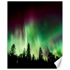 Aurora Borealis Northern Lights Forest Trees Woods Canvas 16  X 20  by danenraven