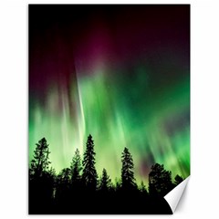 Aurora Borealis Northern Lights Forest Trees Woods Canvas 18  X 24  by danenraven