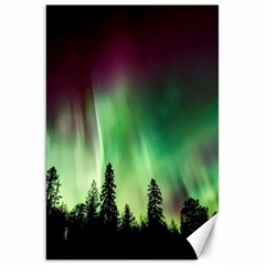 Aurora Borealis Northern Lights Forest Trees Woods Canvas 20  X 30  by danenraven