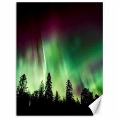 Aurora Borealis Northern Lights Forest Trees Woods Canvas 36  X 48  by danenraven