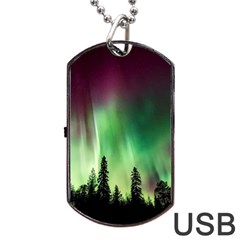 Aurora Borealis Northern Lights Forest Trees Woods Dog Tag Usb Flash (one Side) by danenraven