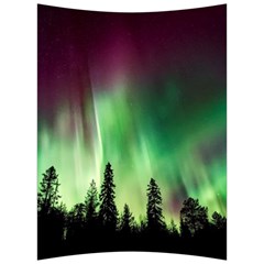 Aurora Borealis Northern Lights Forest Trees Woods Back Support Cushion by danenraven