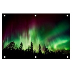 Aurora Borealis Northern Lights Forest Trees Woods Banner And Sign 6  X 4  by danenraven