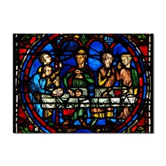 Window Stained Glass Chartres Cathedral Sticker A4 (10 Pack) by danenraven