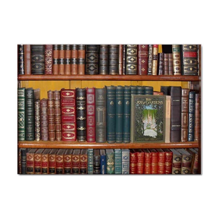 Books Library Bookshelf Bookshop Vintage Antique Sticker A4 (10 pack)