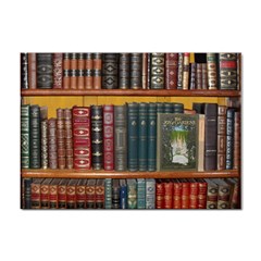 Books Library Bookshelf Bookshop Vintage Antique Sticker A4 (100 Pack) by danenraven