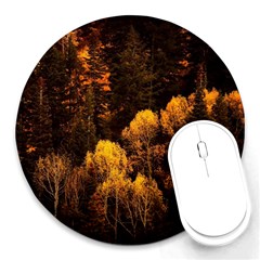 Autumn Fall Foliage Forest Trees Woods Nature Round Mousepad by danenraven