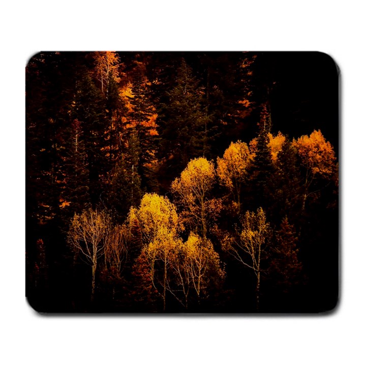 Autumn Fall Foliage Forest Trees Woods Nature Large Mousepad