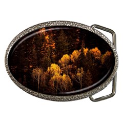 Autumn Fall Foliage Forest Trees Woods Nature Belt Buckles by danenraven