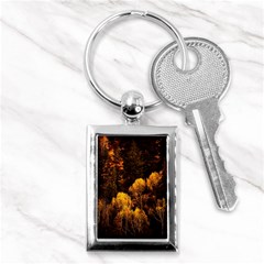 Autumn Fall Foliage Forest Trees Woods Nature Key Chain (rectangle) by danenraven