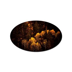 Autumn Fall Foliage Forest Trees Woods Nature Sticker (oval) by danenraven