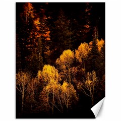 Autumn Fall Foliage Forest Trees Woods Nature Canvas 12  X 16  by danenraven