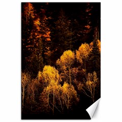 Autumn Fall Foliage Forest Trees Woods Nature Canvas 20  X 30  by danenraven