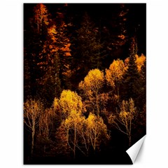 Autumn Fall Foliage Forest Trees Woods Nature Canvas 36  X 48  by danenraven