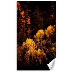 Autumn Fall Foliage Forest Trees Woods Nature Canvas 40  X 72  by danenraven