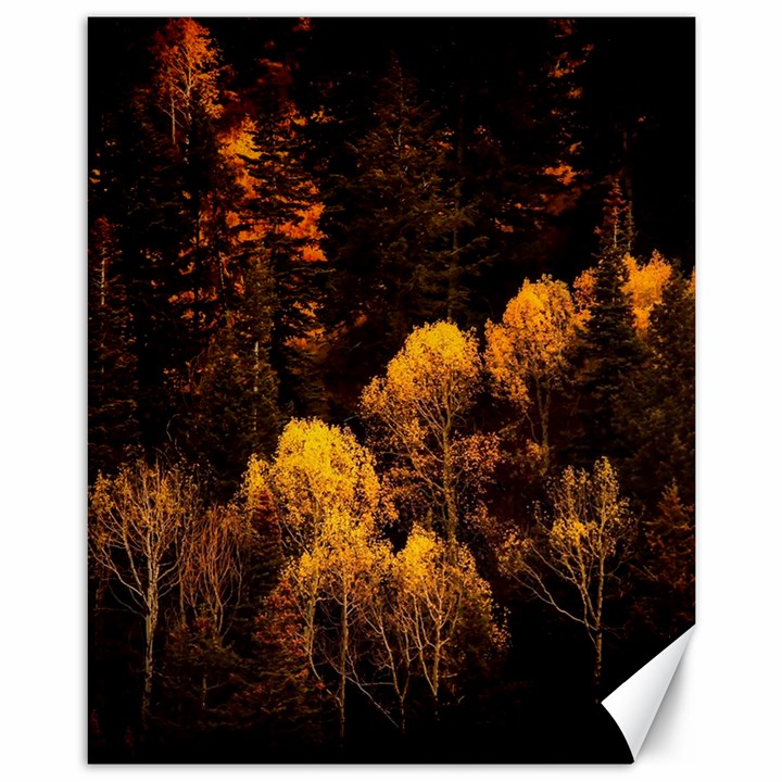 Autumn Fall Foliage Forest Trees Woods Nature Canvas 11  x 14 