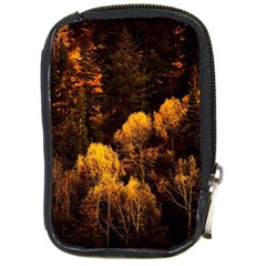 Autumn Fall Foliage Forest Trees Woods Nature Compact Camera Leather Case by danenraven