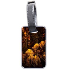 Autumn Fall Foliage Forest Trees Woods Nature Luggage Tag (two Sides)