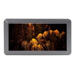 Autumn Fall Foliage Forest Trees Woods Nature Memory Card Reader (mini) by danenraven