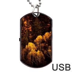 Autumn Fall Foliage Forest Trees Woods Nature Dog Tag Usb Flash (one Side) by danenraven