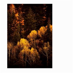 Autumn Fall Foliage Forest Trees Woods Nature Large Garden Flag (two Sides) by danenraven