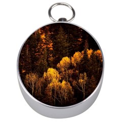 Autumn Fall Foliage Forest Trees Woods Nature Silver Compasses by danenraven