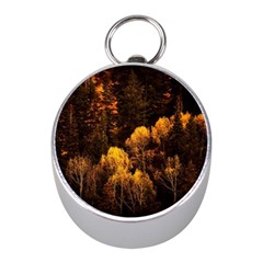 Autumn Fall Foliage Forest Trees Woods Nature Mini Silver Compasses by danenraven