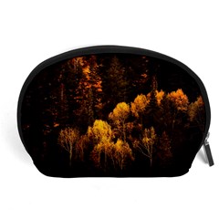 Autumn Fall Foliage Forest Trees Woods Nature Accessory Pouch (large) by danenraven