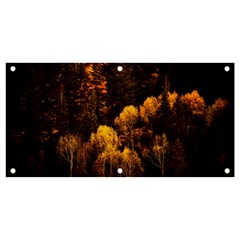 Autumn Fall Foliage Forest Trees Woods Nature Banner And Sign 4  X 2  by danenraven