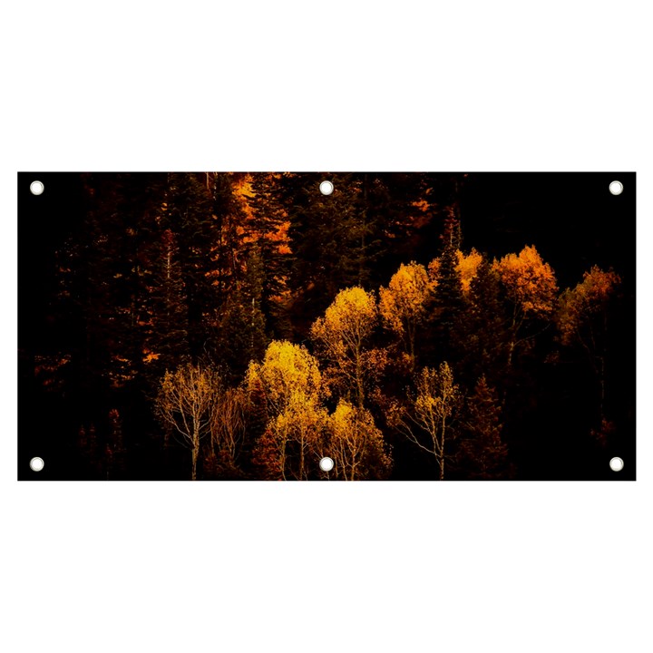 Autumn Fall Foliage Forest Trees Woods Nature Banner and Sign 4  x 2 