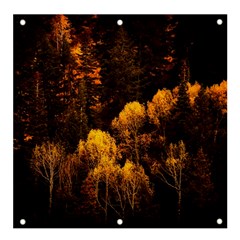 Autumn Fall Foliage Forest Trees Woods Nature Banner And Sign 4  X 4 