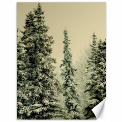 Winter Snow Frost Landscape Forest Trees Woods Canvas 36  X 48  by danenraven