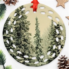 Winter Snow Frost Landscape Forest Trees Woods Ornament (round Filigree)