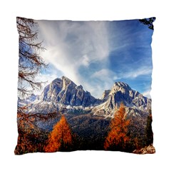 Dolomites Mountains Alps Alpine Trees Conifers Standard Cushion Case (two Sides) by danenraven