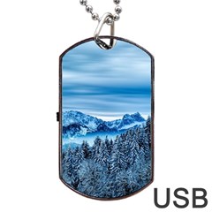 Winter Forest Mountain Snow Nature Alpine Trees Dog Tag Usb Flash (two Sides) by danenraven