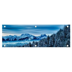 Winter Forest Mountain Snow Nature Alpine Trees Banner And Sign 6  X 2  by danenraven