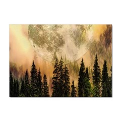 Moon Nature Forest Pine Trees Sky Full Moon Night Sticker A4 (100 Pack) by danenraven